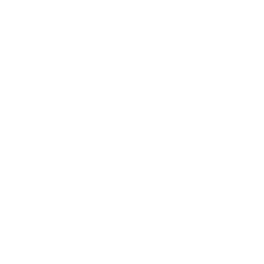 ArrowCastingLogoICONWhite